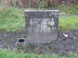 image of grave number 808060